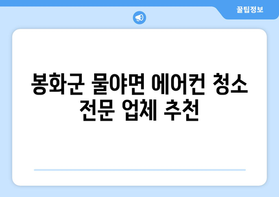 경상북도 봉화군 물야면 에어컨 청소 전문 업체 찾기 | 에어컨 청소, 봉화군, 물야면, 전문 업체, 추천, 비용, 예약