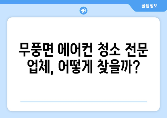 전라북도 무주군 무풍면 에어컨 청소| 깨끗한 공기를 위한 맞춤 가이드 | 에어컨 청소 방법, 전문 업체, 비용, 주의 사항