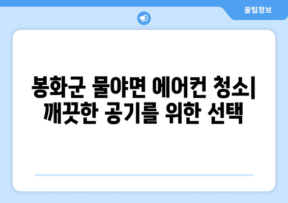 경상북도 봉화군 물야면 에어컨 청소 전문 업체 찾기 | 에어컨 청소, 봉화군, 물야면, 전문 업체, 추천, 비용, 예약