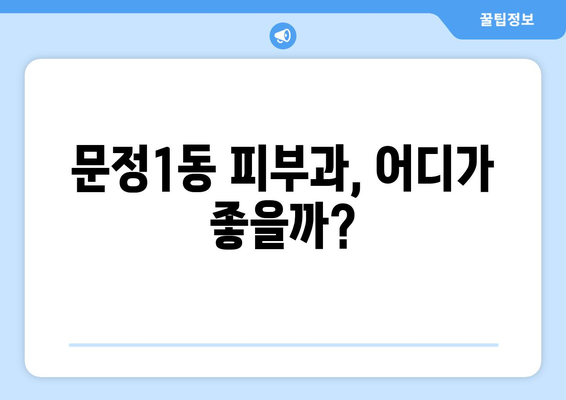 송파구 문정1동 피부과 추천| 꼼꼼하게 비교하고 나에게 맞는 곳 찾기 | 피부과, 송파구, 문정1동, 추천, 비교