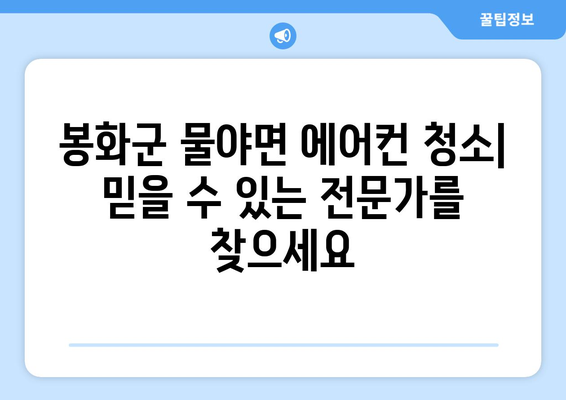 경상북도 봉화군 물야면 에어컨 청소 전문 업체 찾기 | 에어컨 청소, 봉화군, 물야면, 전문 업체, 추천, 비용, 예약