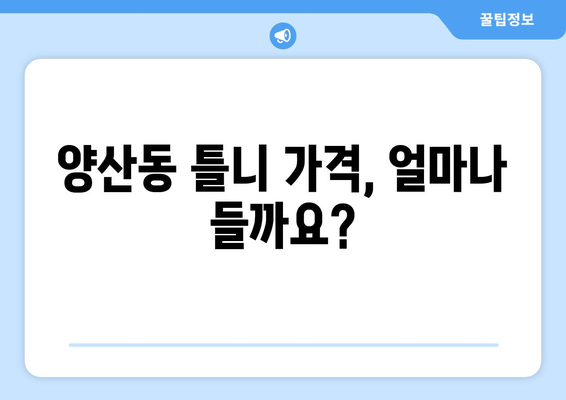 광주시 북구 양산동 틀니 가격 비교 가이드 | 틀니 종류별 가격, 추천 정보, 치과 찾기