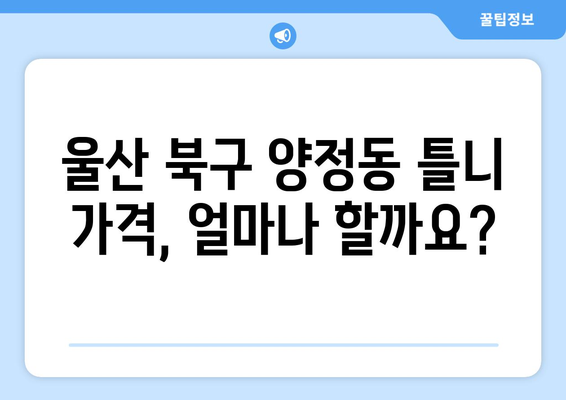 울산 북구 양정동 틀니 가격 정보| 믿을 수 있는 치과 찾기 | 틀니 가격 비교, 틀니 종류, 틀니 관리 팁