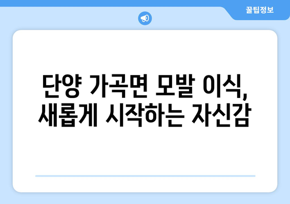 단양 가곡면 모발이식|  믿을 수 있는 전문 의료기관 찾기 | 모발이식, 단양, 가곡면, 탈모, 병원, 클리닉