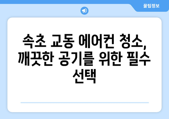 속초시 교동 에어컨 청소 전문 업체 추천 | 속초 에어컨 청소, 교동 에어컨 청소, 에어컨 청소 업체