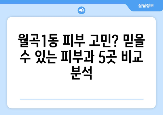 서울 성북구 월곡1동 피부과 추천| 꼼꼼하게 비교 분석한 BEST 5 | 피부과, 추천, 성북구, 월곡1동,