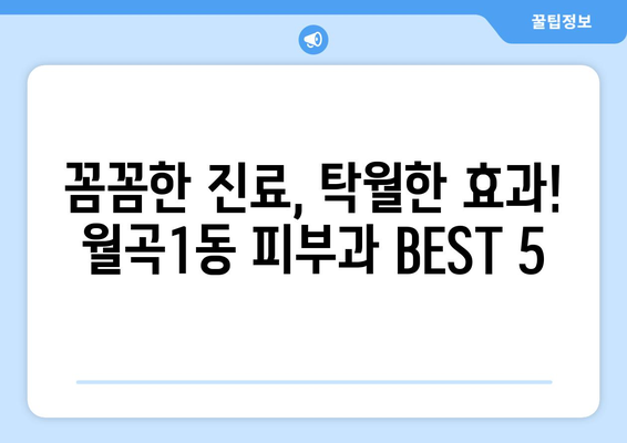 서울 성북구 월곡1동 피부과 추천| 꼼꼼하게 비교 분석한 BEST 5 | 피부과, 추천, 성북구, 월곡1동,