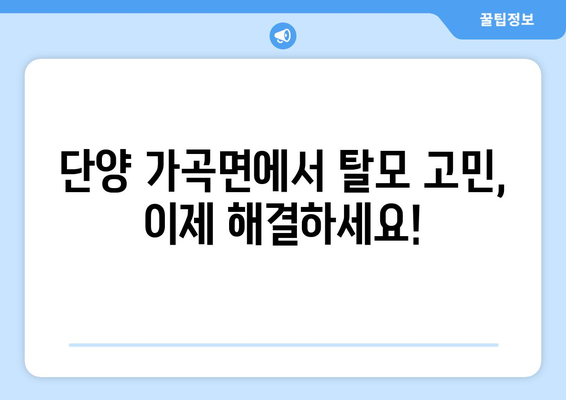 단양 가곡면 모발이식|  믿을 수 있는 전문 의료기관 찾기 | 모발이식, 단양, 가곡면, 탈모, 병원, 클리닉