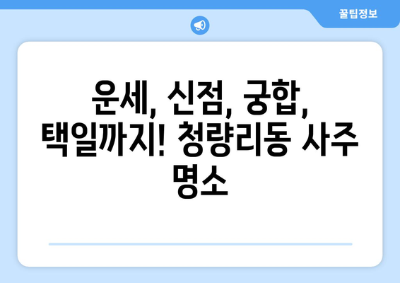 서울 동대문구 청량리동 사주 잘 보는 곳 추천 | 운세, 신점, 궁합, 택일,  사주 상담